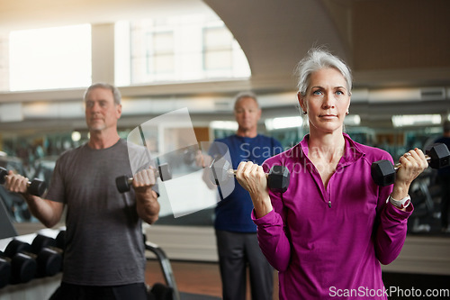 Image of Senior fitness club, people and dumbbells at gym for training, health and wellness, sport or exercise. Class, workout and elderly group of friends at a studio for hand weight, cardio or weightlifting