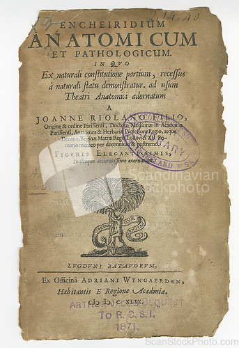 Image of Antique medical page, information and library stamp for authorized knowledge on medicine study, health or research. Latin language, pathology and parchment paper for healthcare education literature