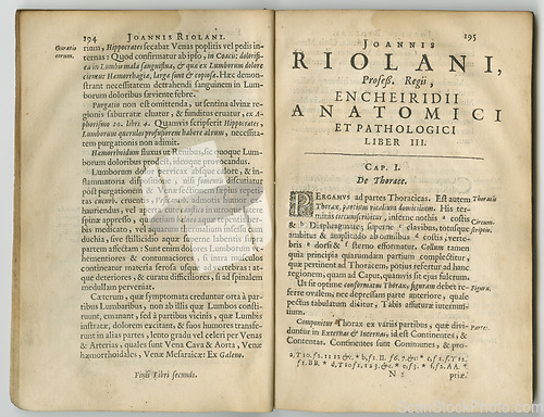 Image of Ancient medical book, paper and information page for medicine study research, archive or biology reference. Latin language, healing treatment guide or wisdom learning for health education literature