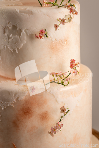 Image of Elegant wedding cake