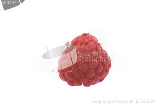 Image of raspberry