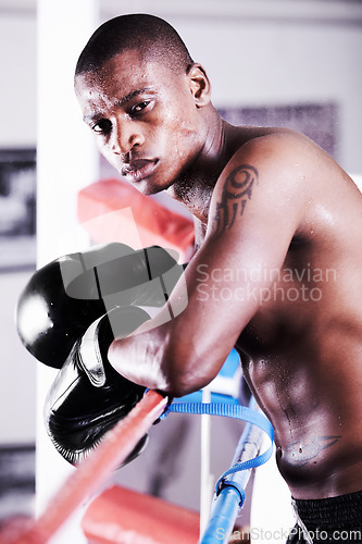 Image of Boxing, gloves and portrait of black man in ring with fitness, power and workout challenge at sports club. Strong body, face of athlete or boxer in gym with sweat and confidence in competition fight.