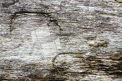 Image of Old Wood Texture