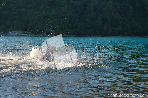 Image of Triathlon athlete starting swimming training on lake