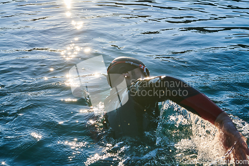 Image of Triathlon athlete swimming on lake in sunrise wearing wetsuit