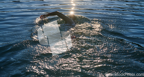 Image of Triathlon athlete swimming on lake in sunrise wearing wetsuit