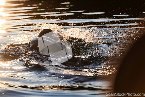 Image of Triathlon athlete swimming on lake in sunrise wearing wetsuit