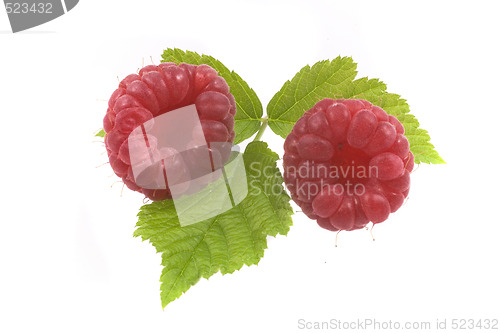 Image of raspberry