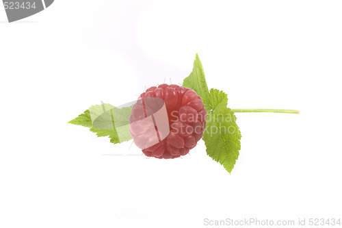 Image of raspberry