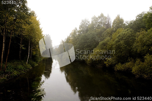 Image of Fall Forest Fog