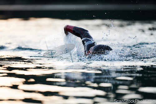 Image of Triathlon athlete swimming on lake in sunrise wearing wetsuit