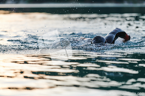 Image of Triathlon athlete swimming on lake in sunrise wearing wetsuit