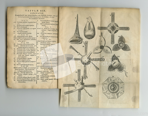 Image of Old book, vintage and anatomy study of the eye, iris or pupil in latin literature, manuscript or ancient scripture against a studio background. Historical novel, journal or knowledge of research