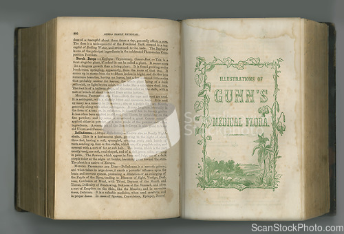 Image of Old book, vintage and pages of biology, antique manuscript or medical scriptures in ancient literature against a studio background. Closeup of historical novel, journal or guide on healthcare history