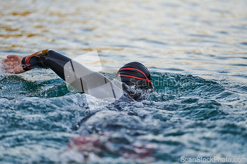 Image of Triathlon athlete swimming on lake in sunrise wearing wetsuit