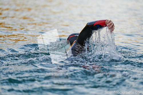 Image of Triathlon athlete swimming on lake in sunrise wearing wetsuit