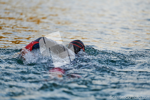 Image of Triathlon athlete swimming on lake in sunrise wearing wetsuit