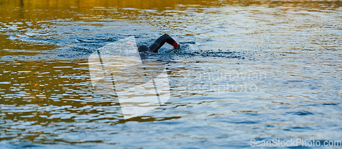 Image of Triathlon athlete swimming on lake in sunrise wearing wetsuit