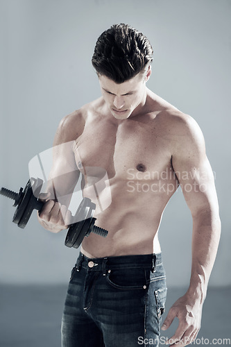 Image of Fitness, muscles and man with dumbbell weight in a studio for bodybuilding workout, exercise or training. Sports, health and young male athlete from Canada with equipment isolated by gray background.