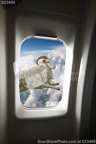 Image of Flying Sheep