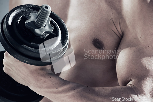 Image of Sports, dumbbell weight and closeup of man with muscles doing workout in gym for bodybuilding training. Fitness, exercise and male person from Canada with equipment for health in wellness center.