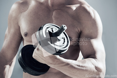 Image of Sports, dumbbell weight and closeup of man with muscles doing workout in gym for bodybuilding training. Fitness, exercise and male person from Canada with equipment for health in wellness center.