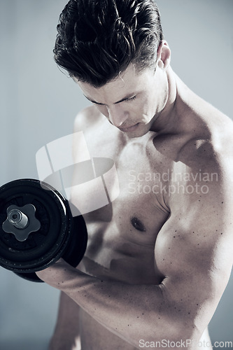 Image of Fitness, muscles and man with dumbbell weight in a studio for bodybuilding workout, exercise or training. Sports, health and young male athlete from Canada with equipment isolated by gray background.