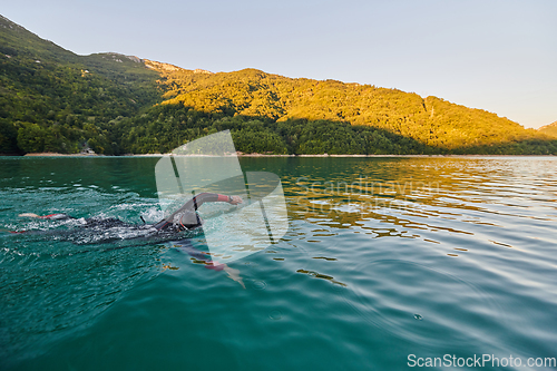 Image of Triathlon athlete swimming on lake in sunrise wearing wetsuit