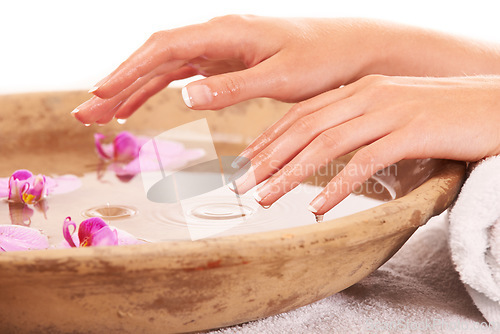 Image of Woman nails, hands and water for manicure, skincare or cosmetics in zen, beauty or salon spa treatment. Closeup of female person wet fingers in bowl of natural mineral liquid with flowers in wellness