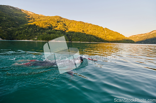 Image of Triathlon athlete swimming on lake in sunrise wearing wetsuit