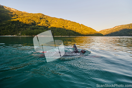 Image of Triathlon athlete swimming on lake in sunrise wearing wetsuit