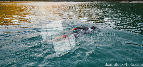 Image of Triathlon athlete swimming on lake in sunrise wearing wetsuit