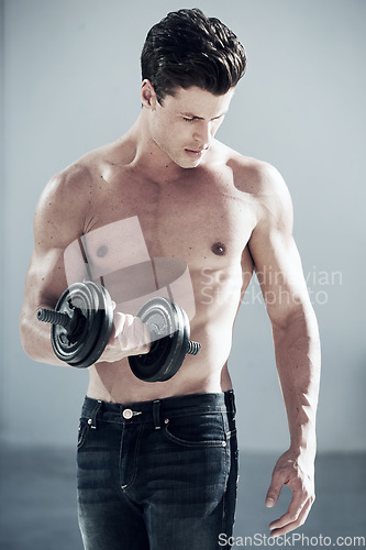 Image of Fitness, muscular and man with dumbbell weight in a studio for bodybuilding workout, exercise or training. Sports, health and young male athlete from Canada with equipment isolated by gray background