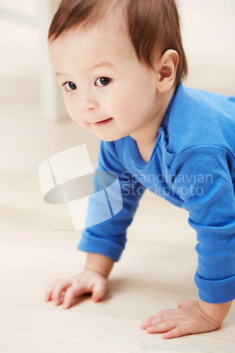 Image of Cute, crawling and smile with baby on floor for child development, learning and youth. Young, curious and adorable with infant kid on ground of family home for growth, progress and first steps