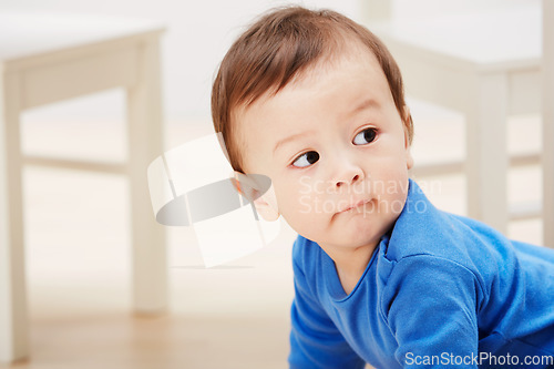 Image of Cute, crawling and curious with baby on floor for child development, learning and youth. Young, explore and adorable with infant kid on ground of family home for growth, progress and first steps