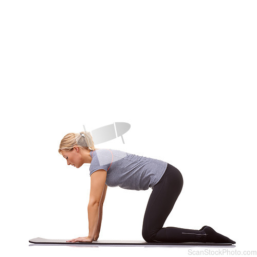 Image of Woman, fitness or mat in studio for cow stretch, pilates or workout for healthy body, wellness or core muscle. Person, exercise or yoga on floor for abdomen health on mockup space or white background