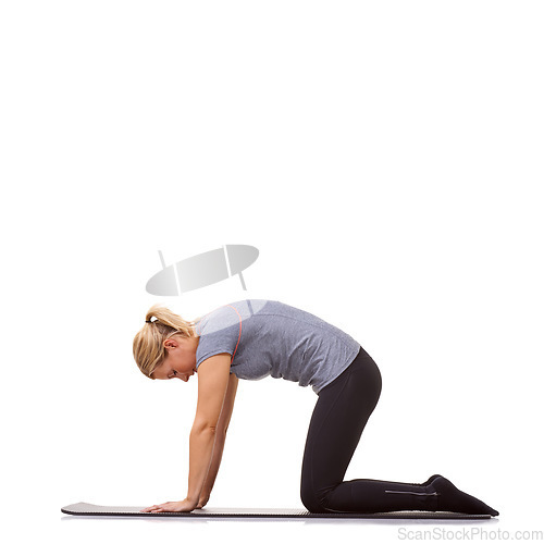 Image of Woman, yoga or cat pose for fitness, workout or stretching body in studio on mockup white background. Profile, healthy lady or bend back for strong core, spine extension or flexible exercise on floor