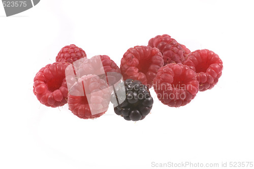 Image of raspberry