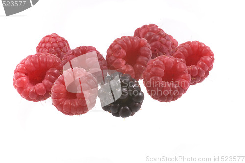 Image of raspberry