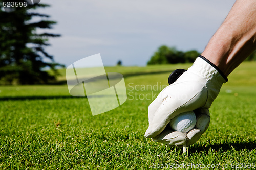Image of Golf Tee 