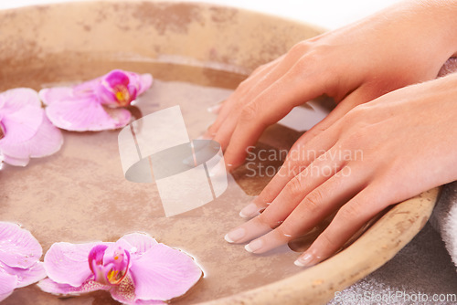 Image of Woman, hands and water for manicure, skincare or cosmetics in zen, beauty or salon and spa treatment. Closeup of female person resting nails in bowl of natural mineral liquid with flowers in wellness