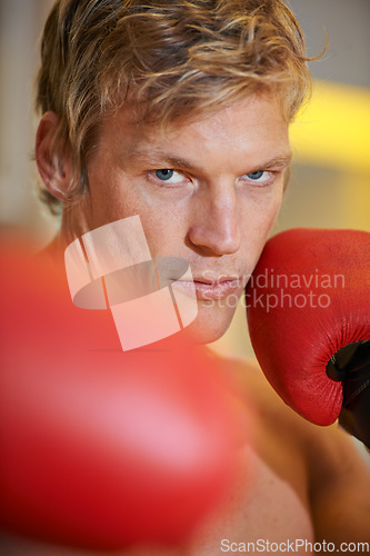 Image of Man, fitness and portrait with punch in gym for power, exercise or fight for contest, wellness or health. Contact sports training, athlete person and fist in gloves, boxing and action in mma workout