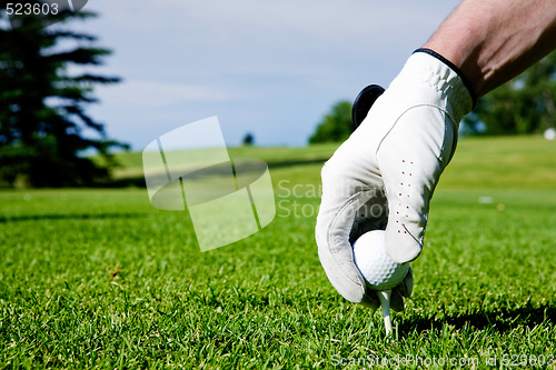 Image of Golf Tee Hand