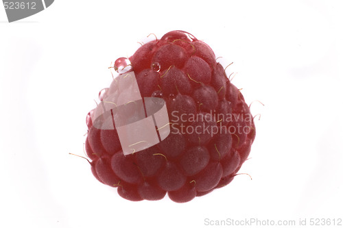 Image of raspberry