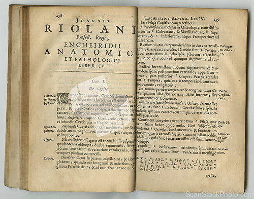 Image of Antique medical book, page or research of medicine study, historical library archive or biology reference info. Latin language, healing service guide or wisdom learning for health wellness literature