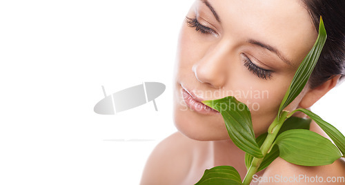 Image of Skincare, leaf and woman in studio for makeup, wellness and eco friendly cosmetics on white background. Plant, mockup and face of beauty model with natural dermatology, treatment or skin detox shine