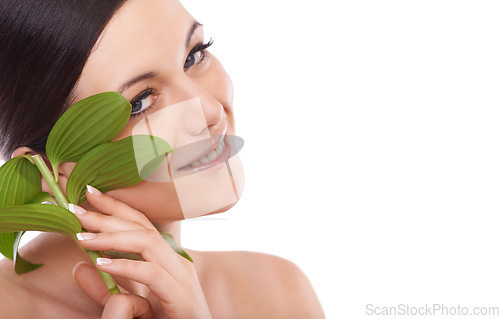 Image of Skincare, leaf and portrait of woman in studio for makeup, wellness and eco friendly cosmetics on white background. Plant, beauty or model face with natural dermatology, treatment or skin detox shine