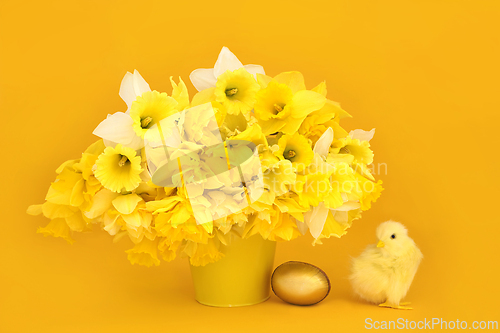 Image of Happy Easter with Daffodil Flowers Baby Chick and Gold Egg