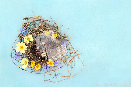 Image of Blue Tit Birds Flown the Nest with Spring Flowers