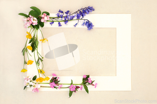 Image of Abstract Springtime Beltane Wildflower Background Frame